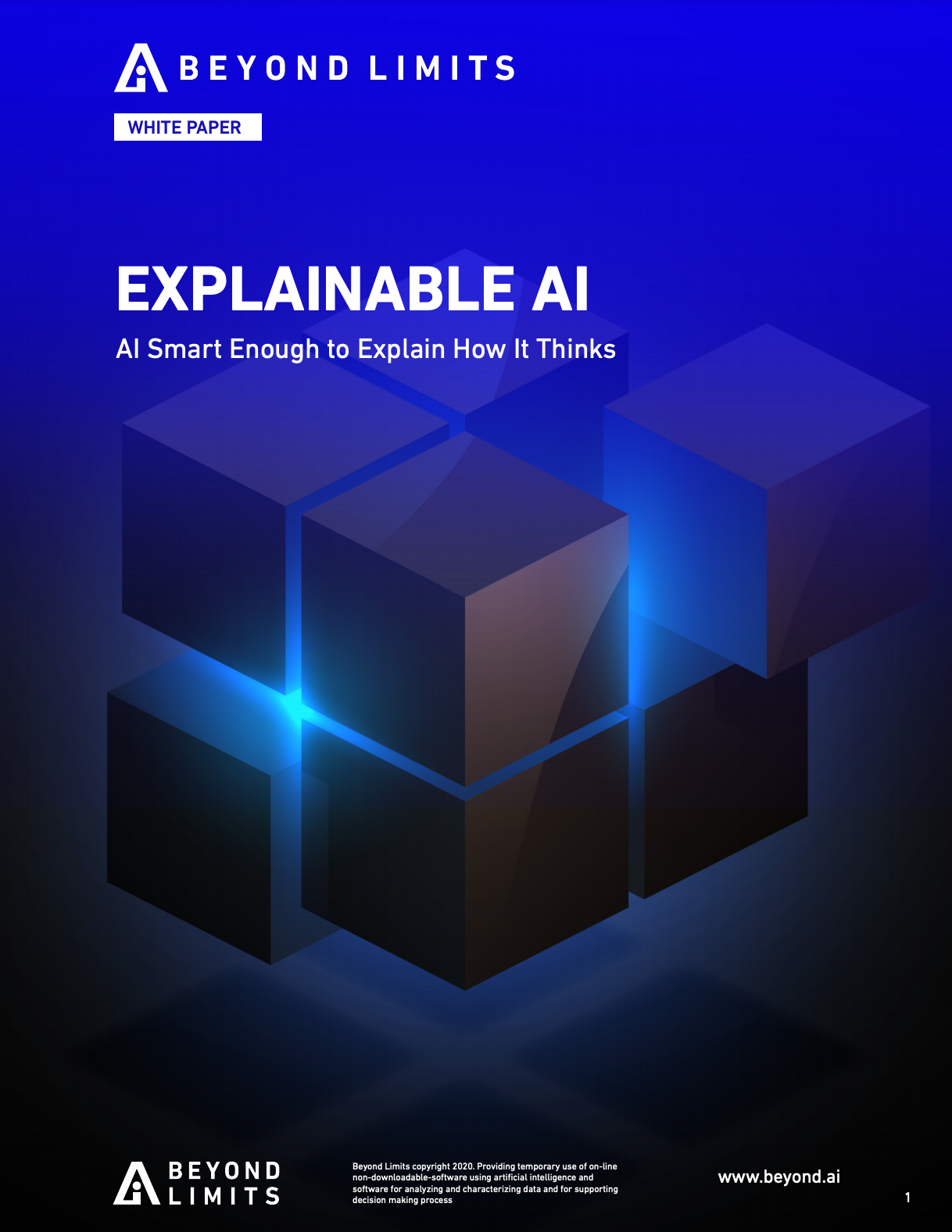 Explainable AI Whitepaper